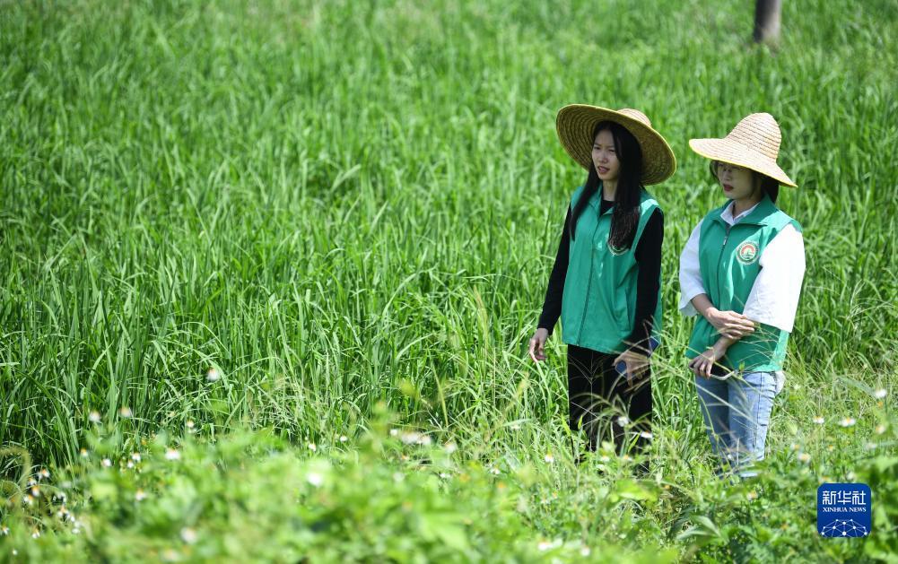 大富豪电玩城下载